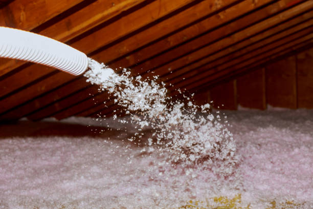 Best Insulation Repair Services  in San Jacinto, CA